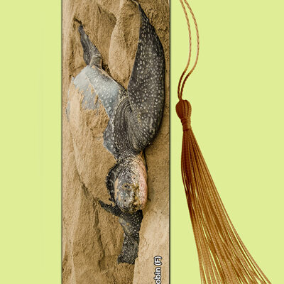 Bookmark Metal (Turtles) Leatherback Turtle