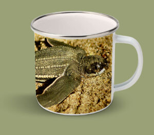 Enamel Mugs 17oz (Turtle) Leatherback Turtle Hatchling