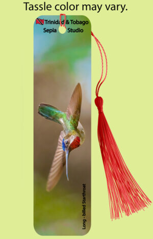 Bookmark Metal (Hummingbird) Long Billed Starthroat