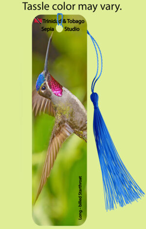 Bookmark Metal (Hummingbird) Long billed Starthroat (M)