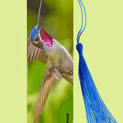 Bookmark Metal (Hummingbird) Long billed Starthroat (M)