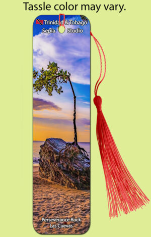 Bookmark Metal (Seascape) Perseverance Rock Las Cuevas