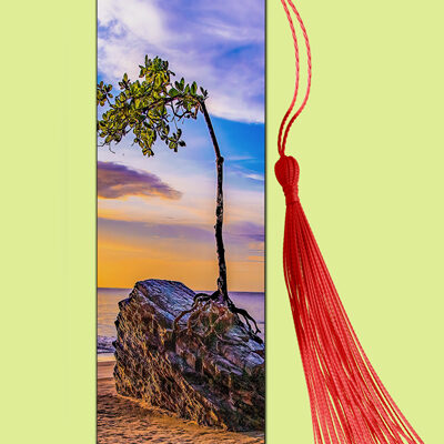 Bookmark Metal (Seascape) Perseverance Rock Las Cuevas