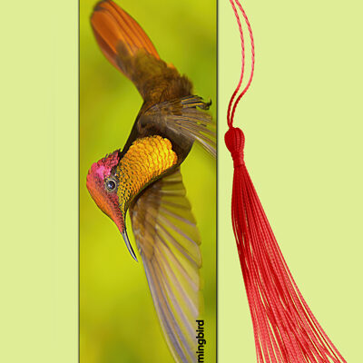 Bookmark Metal (Hummingbird) Ruby Topaz (M)
