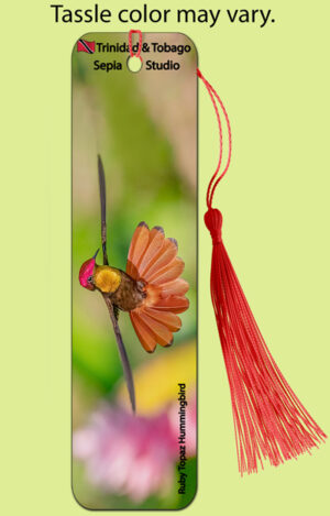 Bookmark Metal (Hummingbird) Ruby Topaz (M)