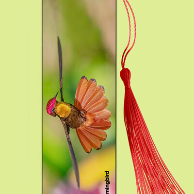 Bookmark Metal (Hummingbird) Ruby Topaz (M)