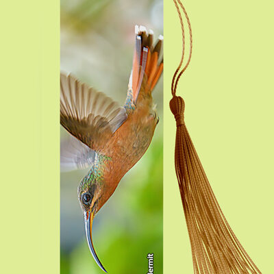 Bookmark Metal (Hummingbird) Rofous Breasted Hermit