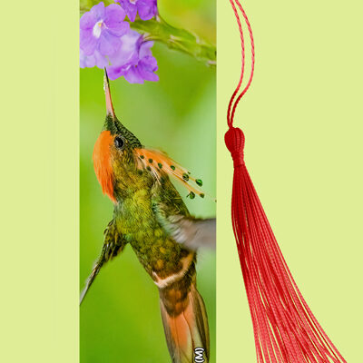 Bookmark Metal (Hummingbird) Tufted Coquette (M)
