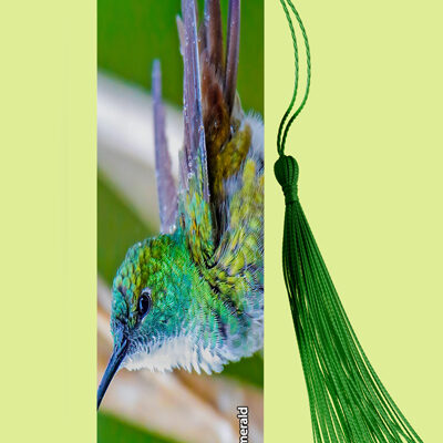 Bookmark Metal (Hummingbird) White Chested Emerald