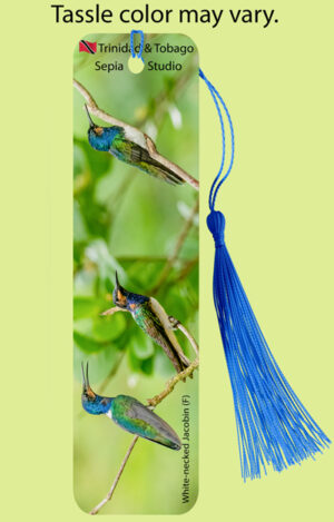 Bookmark Metal (Hummingbird) White Necked Jacobin (M)