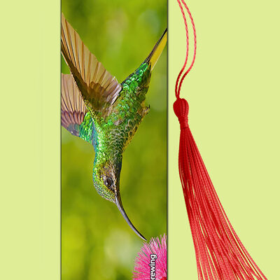 Bookmark Metal (Hummingbird) White tailed Sabrewing