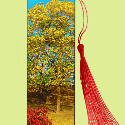 Bookmark Metal (Poui) Yellow Poui