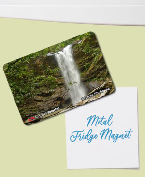 Fridge Magnet (Waterfalls) Avocat Waterfall