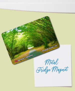 Fridge Magnet (Landscape) Bamboo Cathedral