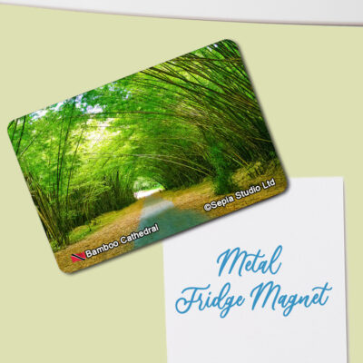 Fridge Magnet (Landscape) Bamboo Cathedral