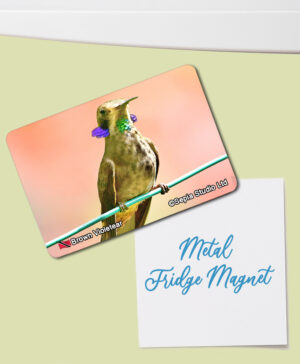Fridge Magnet (Hummingbird) Brown Violetear