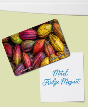 Fridge Magnet (Misc) Cocoa Pods