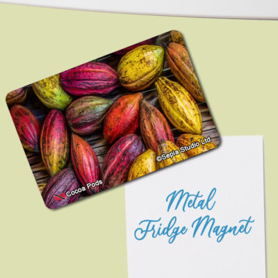 Fridge Magnet (Misc) Cocoa Pods