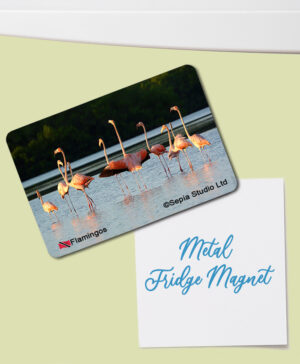 Fridge Magnet (Birds) Flamingos at Caroni Bird Sanctuary