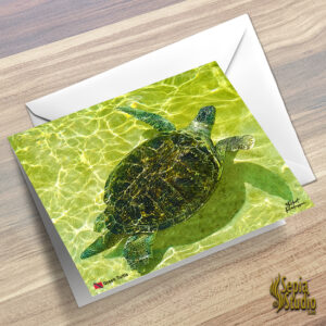 Greeting Cards 5" x 7" (Turtles) Green Turtle