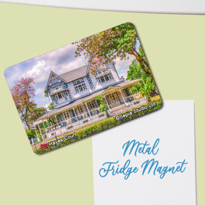 Fridge Magnet (Architecture) Hayes Court