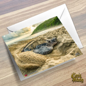 Greeting Cards 5" x 7" (Turtles) Leatherback Turtle
