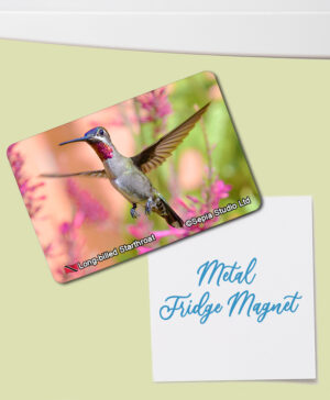 Fridge Magnet (Hummingbird) Long-billed Starthroat
