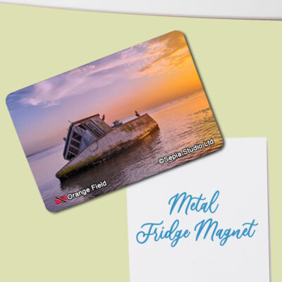 Fridge Magnet (Seascape) Orange Field