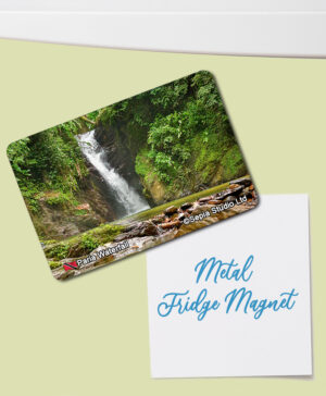Fridge Magnet (Waterfalls) Paria Waterfall