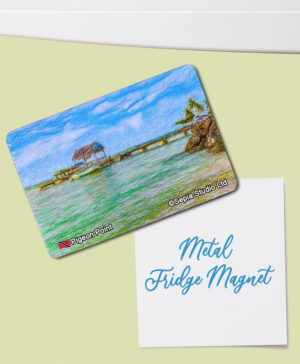 Fridge Magnet (Digital Art) Pigeon Point