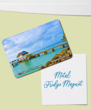 Fridge Magnet (Tobago) Pigeon Point