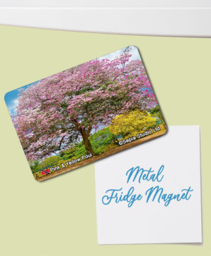 Fridge Magnet (Poui) Pink & Yellow Poui