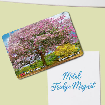 Fridge Magnet (Poui) Pink & Yellow Poui