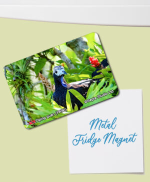 Fridge Magnet (Birds) Piping-Guan (PAWI)