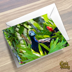 Greeting Cards 5" x 7" (Bird) Piping Guan (PAWI)