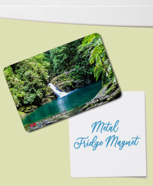 Fridge Magnet (Waterfalls) Rio Seco