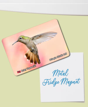 Fridge Magnet (Hummingbird) Ruby Topaz (F)