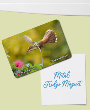 Fridge Magnet (Hummingbird) Ruby Topaz (F)