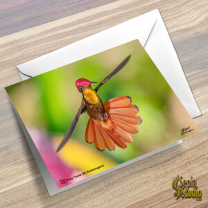 Greeting Cards 5" x 7" (Hummingbird) Ruby Topaz