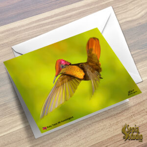 Greeting Cards 5" x 7" (Hummingbird) Ruby Topaz