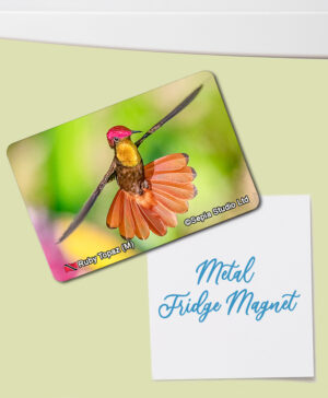 Fridge Magnet (Hummingbird) Ruby Topaz (M)