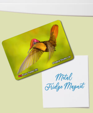 Fridge Magnet (Hummingbird) Ruby Topaz (M)