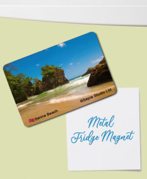 Fridge Magnet (Seascape) Senna Bay