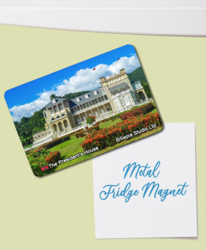 Fridge Magnet (Architecture) The President's House