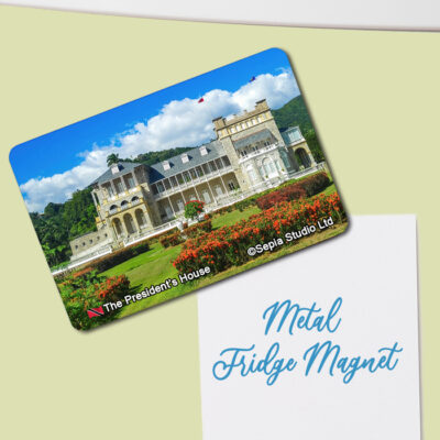 Fridge Magnet (Architecture) The President's House