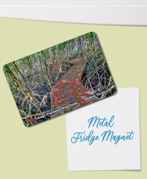 Fridge Magnet (Tobago) Tobago Plantation Boardwalk