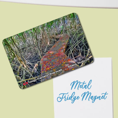 Fridge Magnet (Tobago) Tobago Plantation Boardwalk