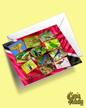 Greeting Cards 5" x 7" (Trinidad & Tobago) Trinidad and Tobago Birds