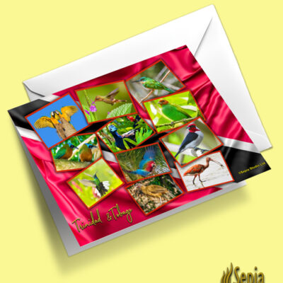 Greeting Cards 5" x 7" (Trinidad  & Tobago) Trinidad and Tobago Birds