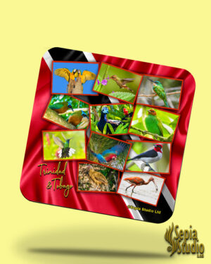 Corkback Coaster (Trinidad & Tobago) Trinidad & Tobago Birds